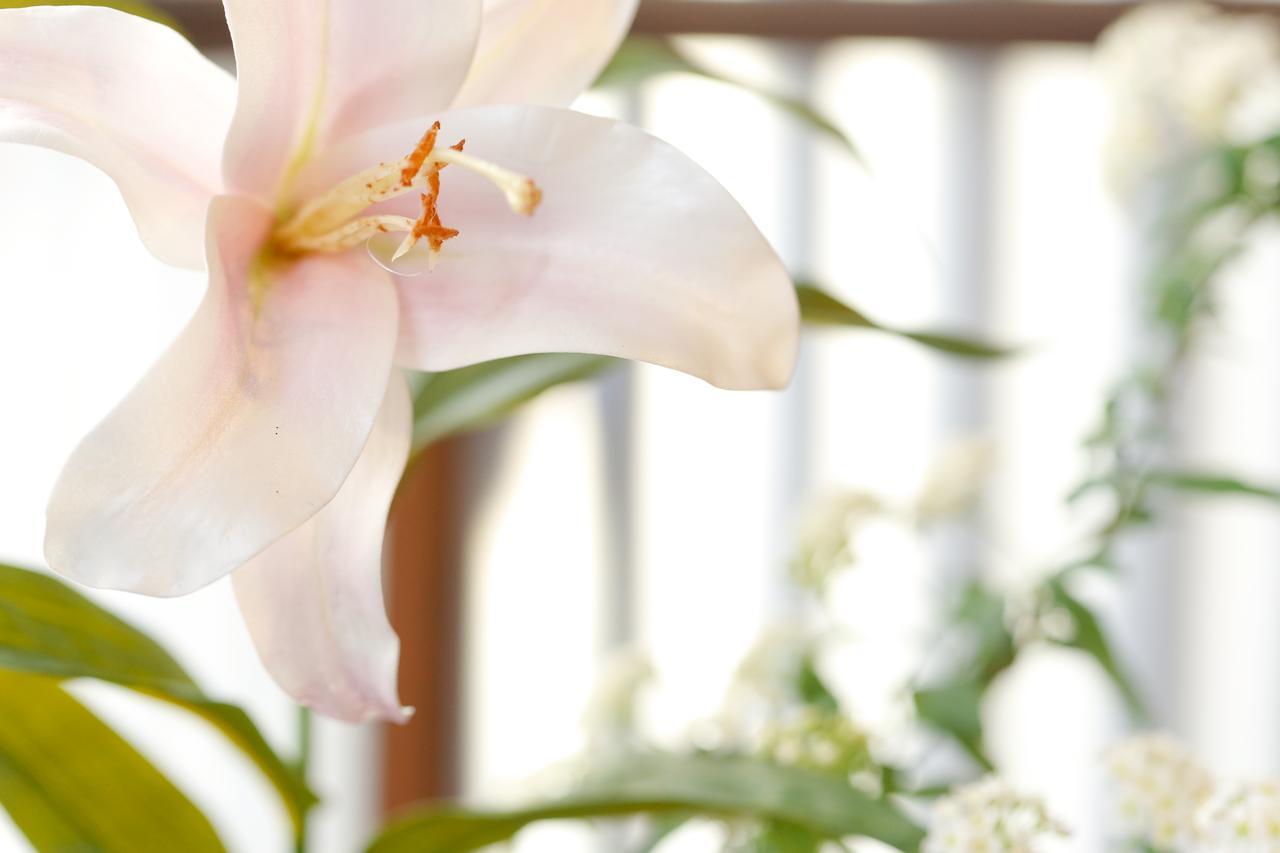 Matsuharu Ann Villa Kyoto Ngoại thất bức ảnh